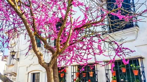 Foto 4 von Gebaude zum Verkauf in Calle Arrecife, Ayamonte ciudad, Ayamonte