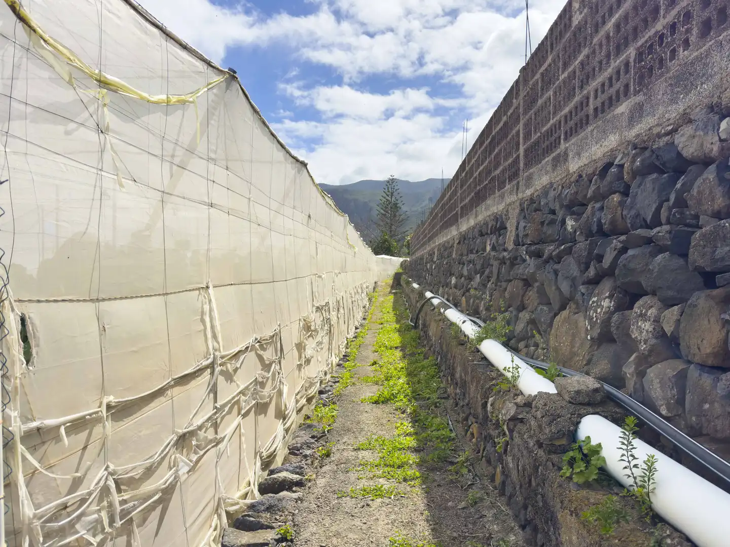 Exterior view of Land for sale in Los Silos