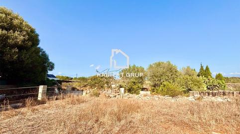 Photo 5 of Land for sale in Ciutadella, Illes Balears