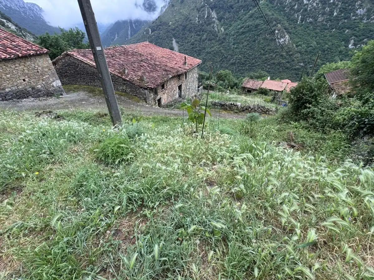 House for sale in Peñamellera Alta, imagen 43