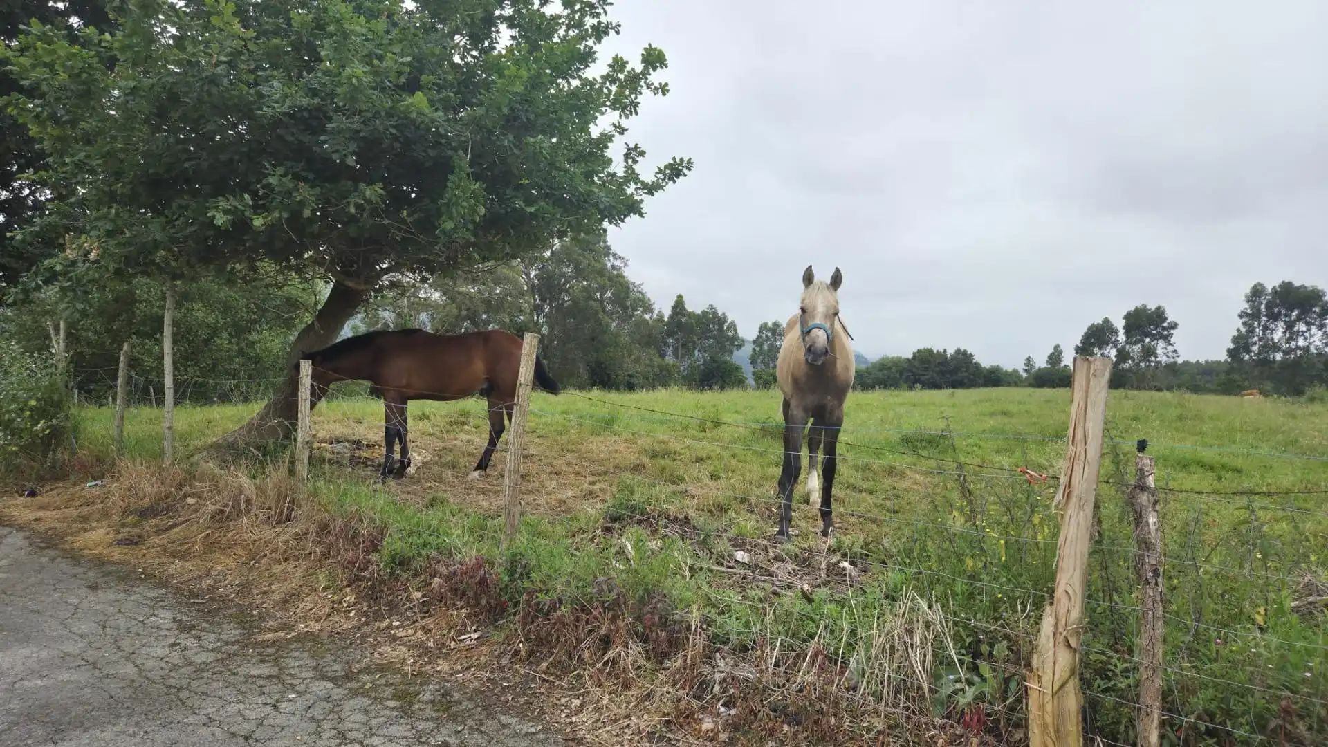 Exterior view of Land for sale in Bárcena de Cicero