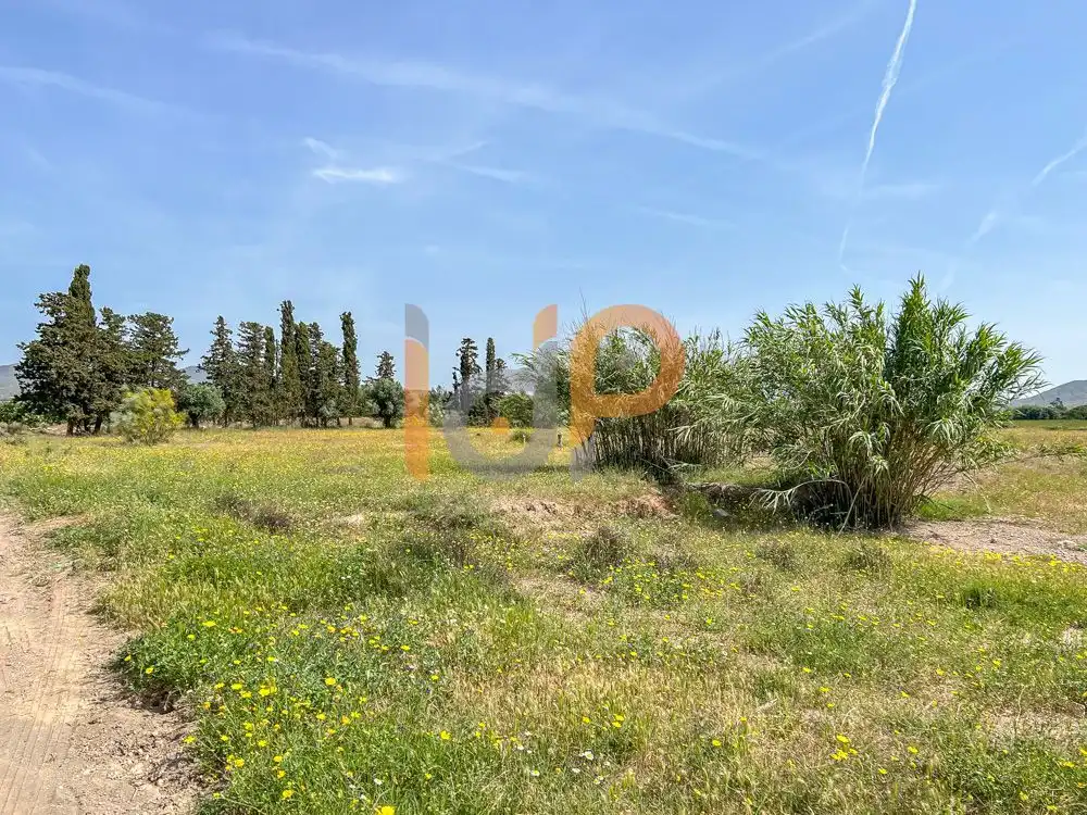 Terrain rustique à vendre à Huércal-Overa, imagen 3
