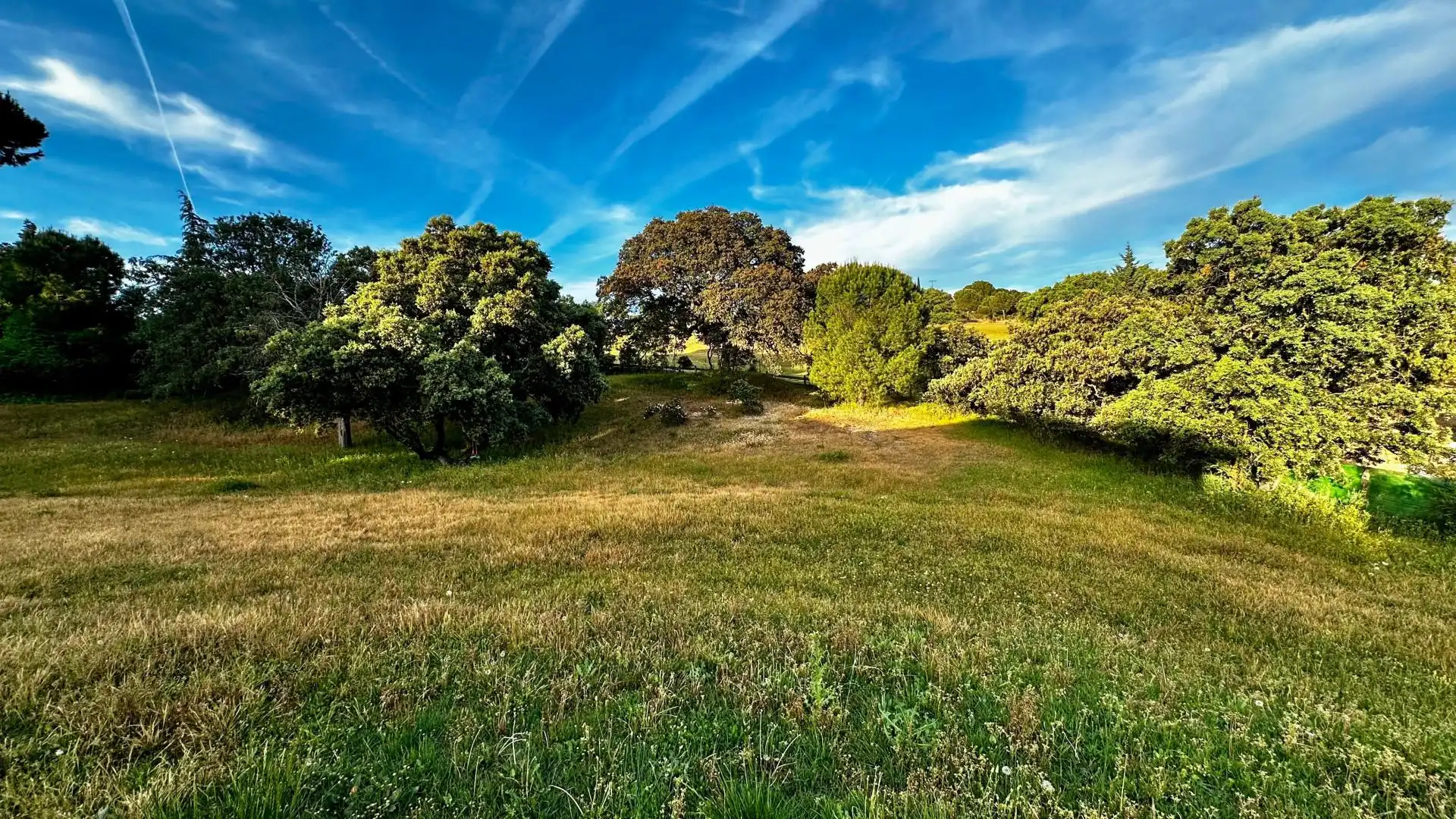 Casa o chalet en venta en Las Rozas de Madrid