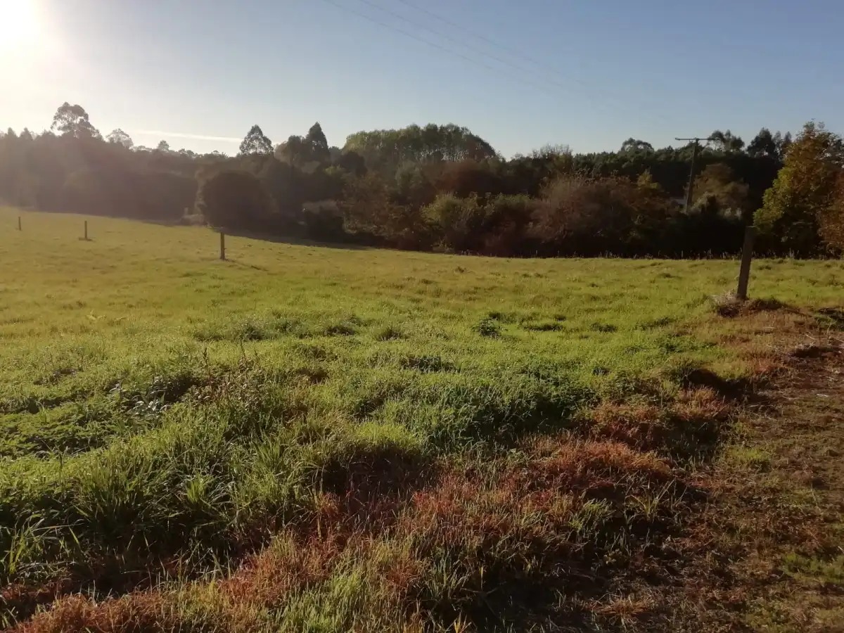 Terreni e lotti in vendita a Lugar O Formigueiro - Laracha, imagen 16