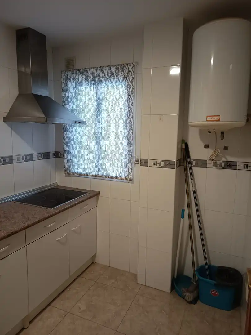 Küche von Wohnung zur Miete in La Malahá