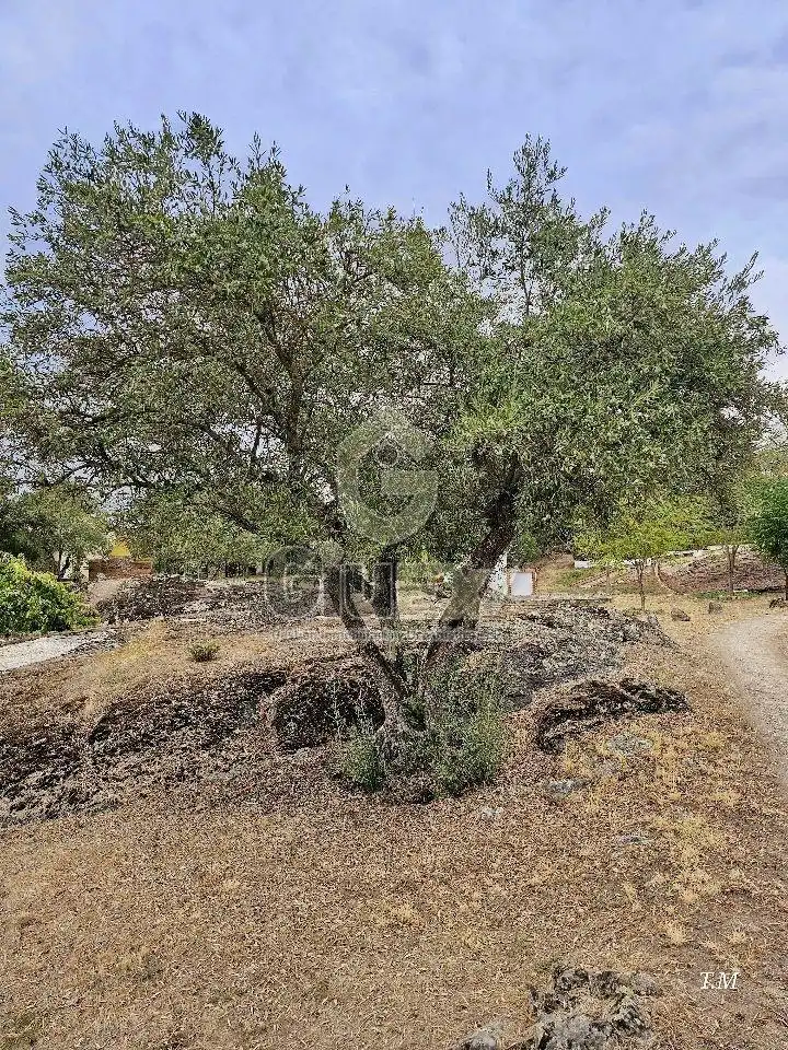 House with garden for sale in Arroyo de la Luz, imagen 51
