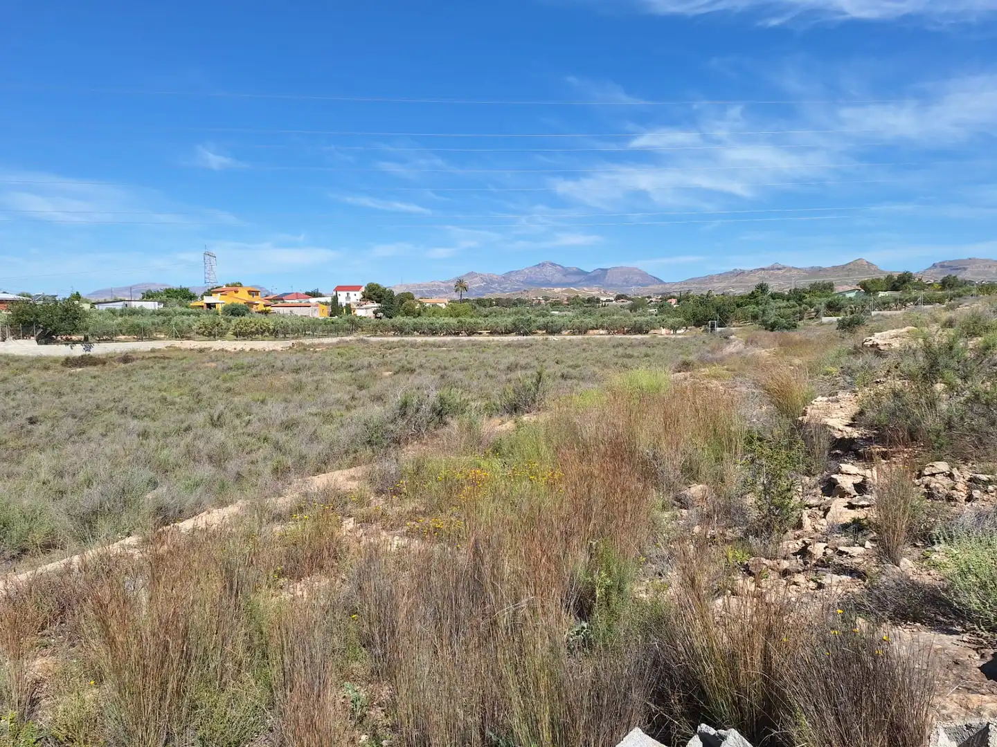 Rural land for sale in Los Girasoles, imagen 5