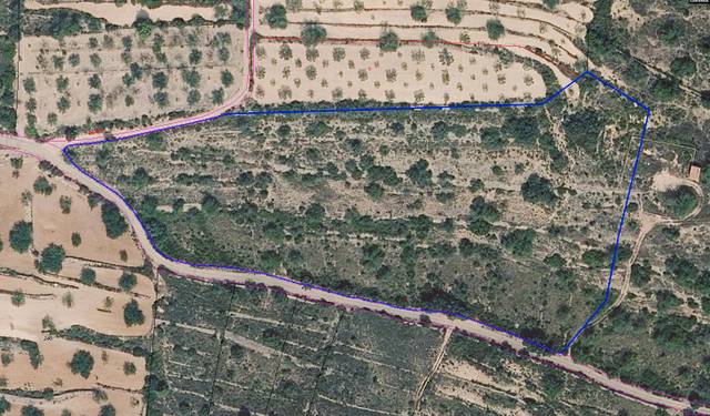 Terreno en Venta en Cervera del Maestre