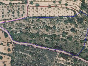 Terreno rustico in vendita a Cervera del Maestre