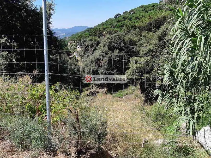 Terrenys i solars en venda a Carrer Burriac 2-4-6-8 y Carrer Arenys 11, imagen 3
