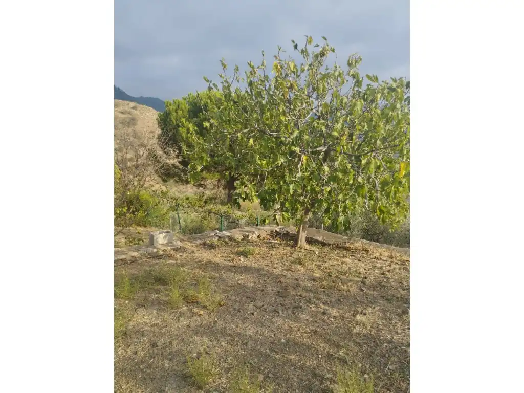 Finca rústica en venta en N/A, Alcaucín
