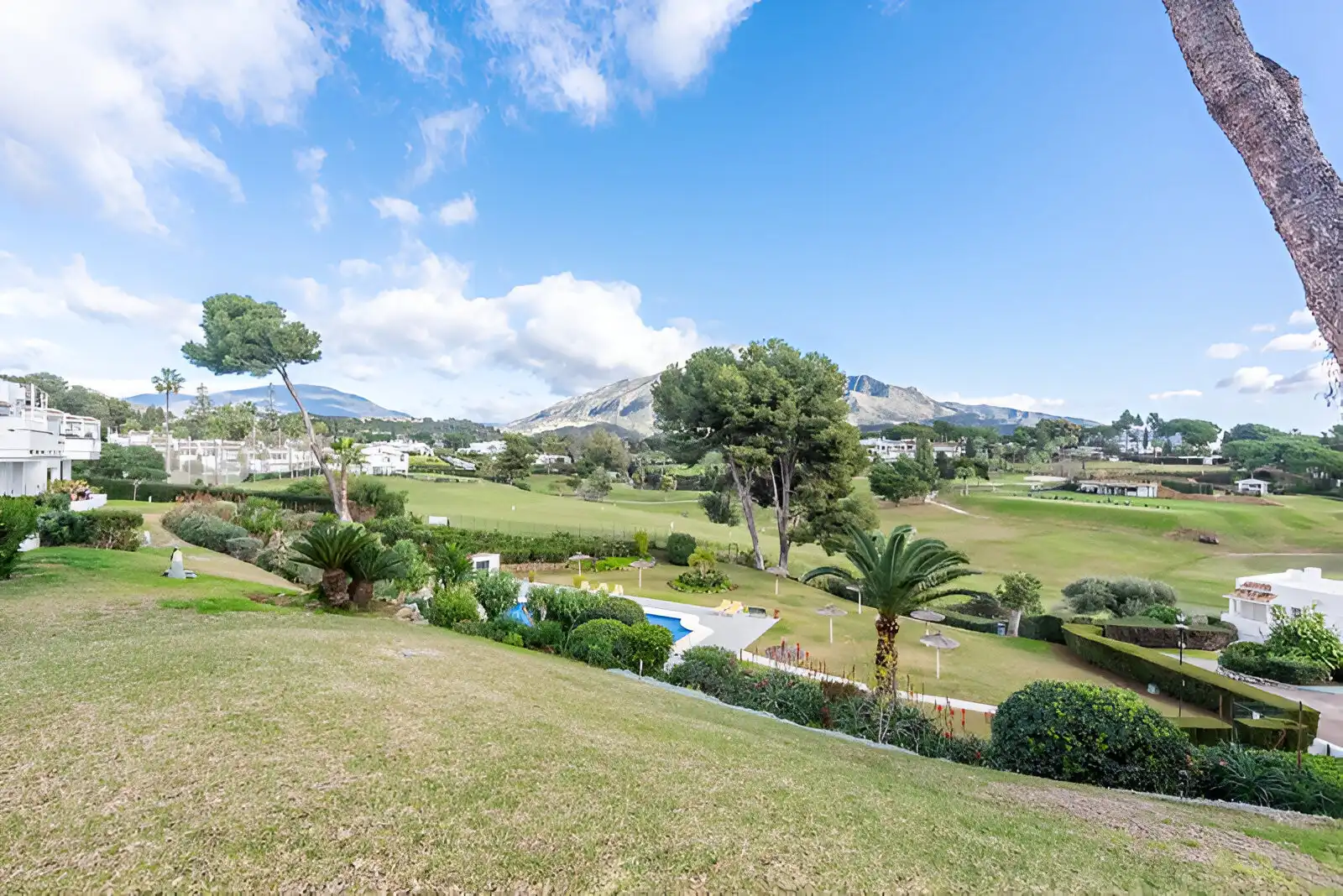 Jardín de Planta baja en venta en Marbella con Aire acondicionado, Terraza y Piscina