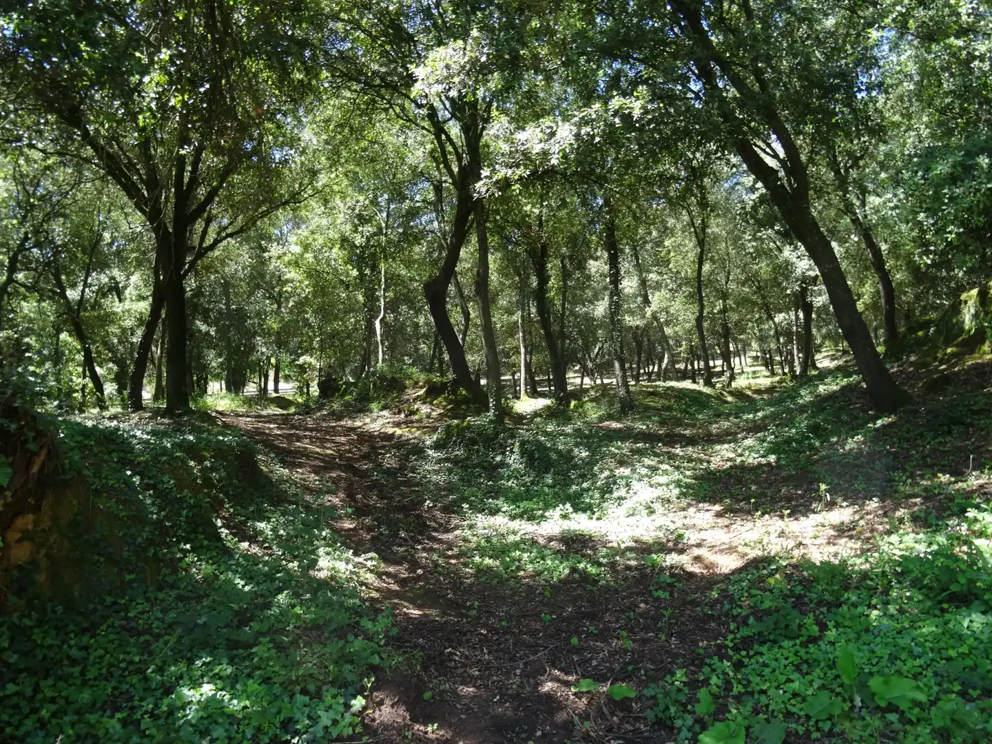 Finca rústica en venta en Bescanó
