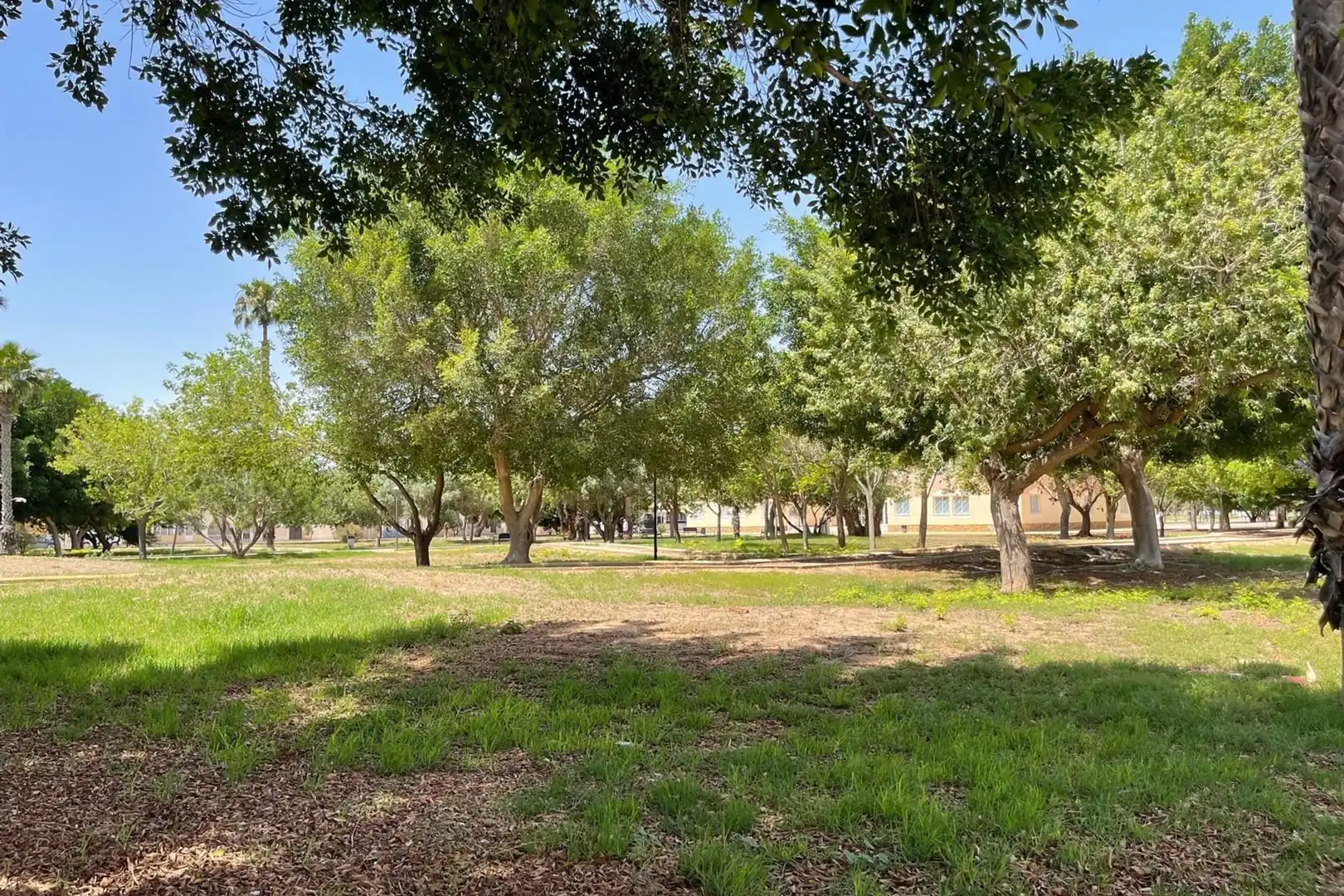 Apartamento en venta en Los Narejos - Punta Calera, imagen 12