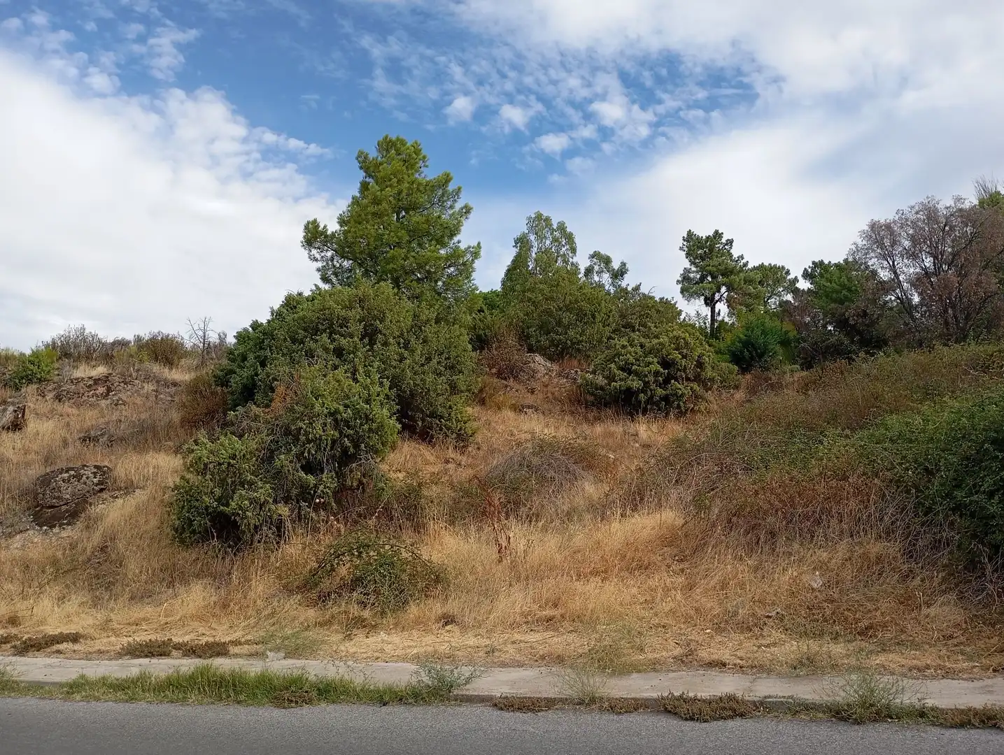 Terrenos y solares en venta en Robledo de Chavela, imagen 3