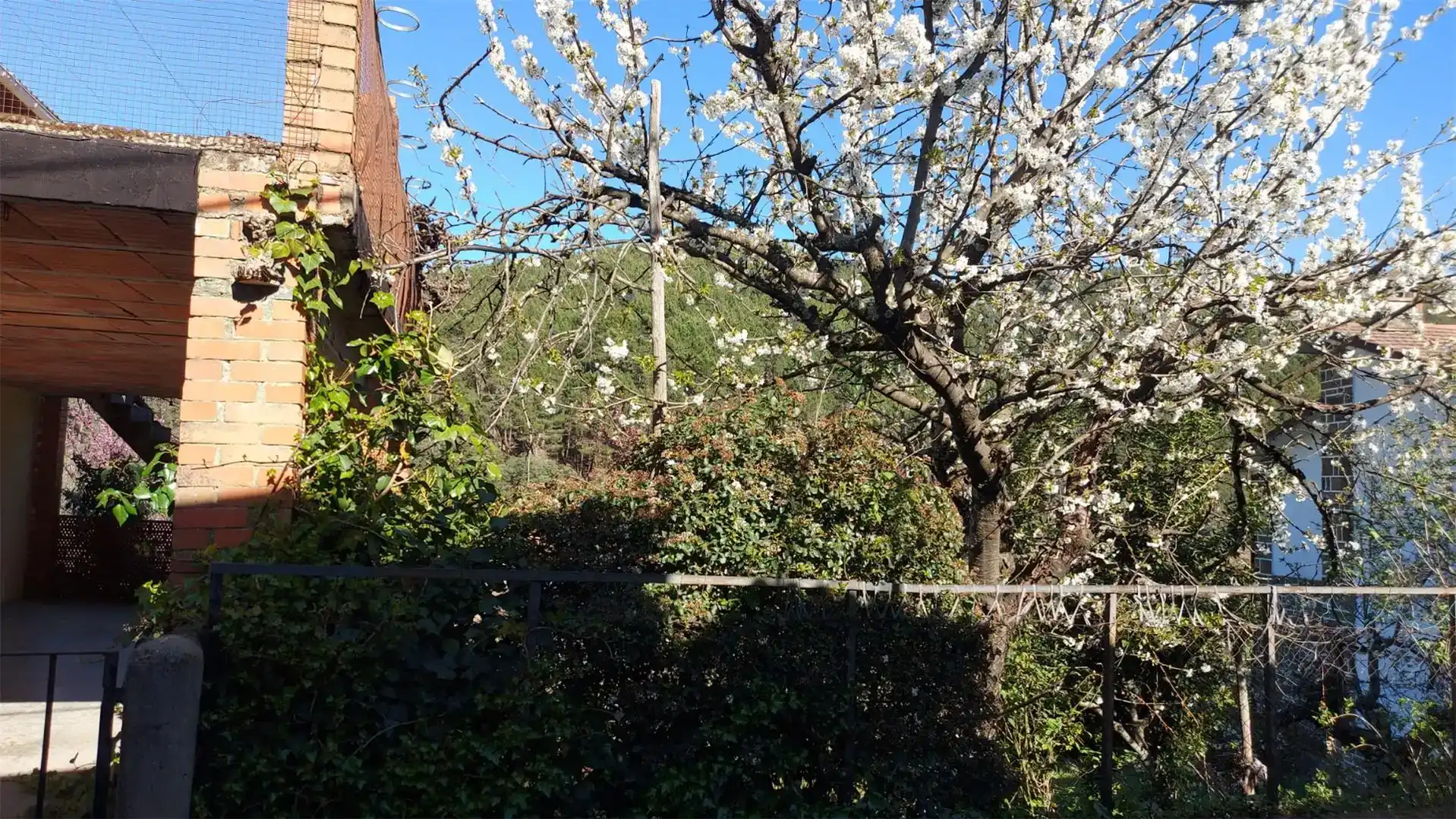 Garden of Flat for sale in Pinofranqueado  with Private garden, Storage room and Balcony