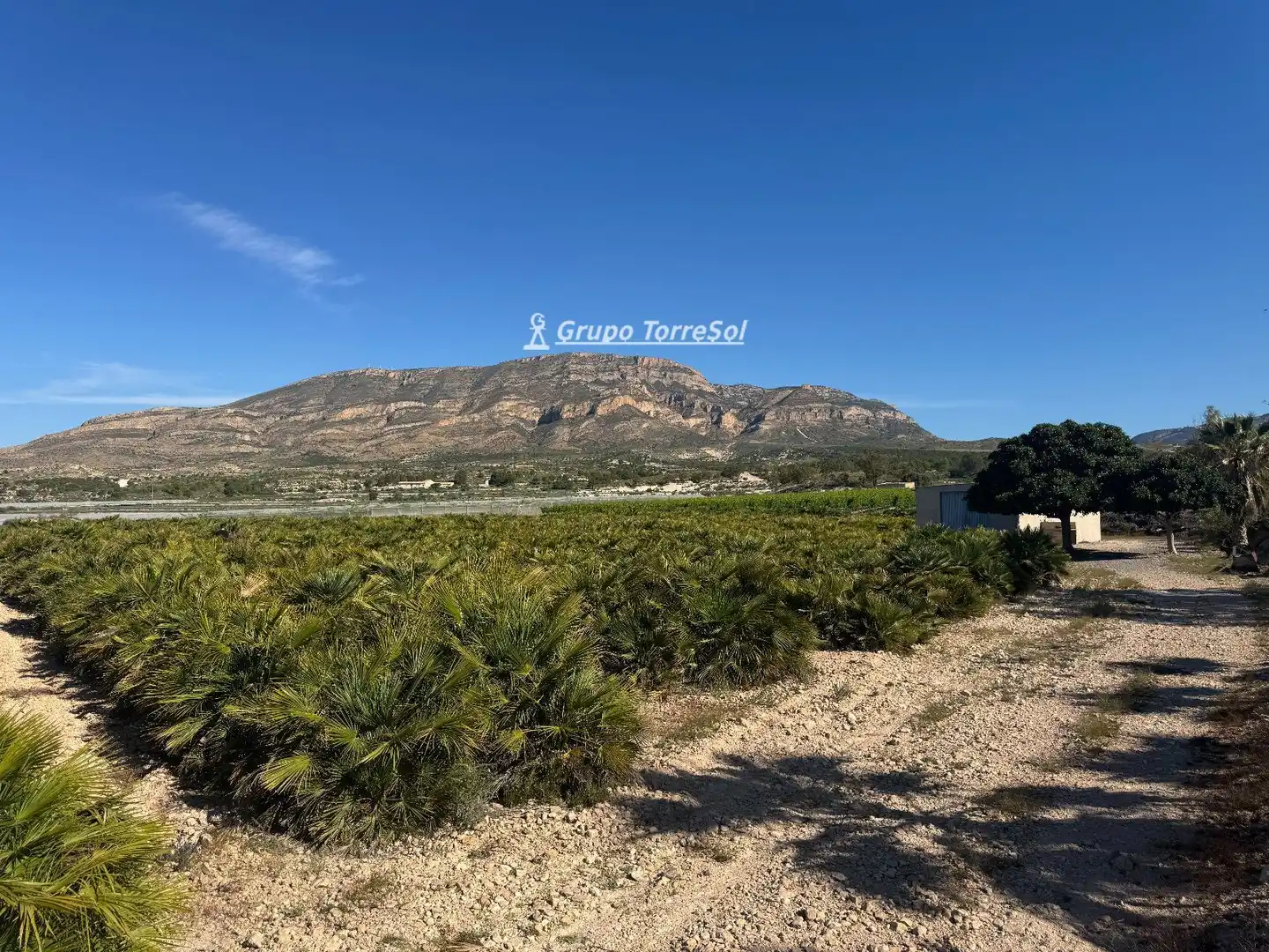 Land for sale in Monforte del Cid
