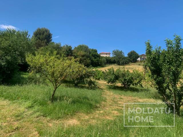 Terreno en Venta en TÉRMINO ERREKAZAR en Belascoáin