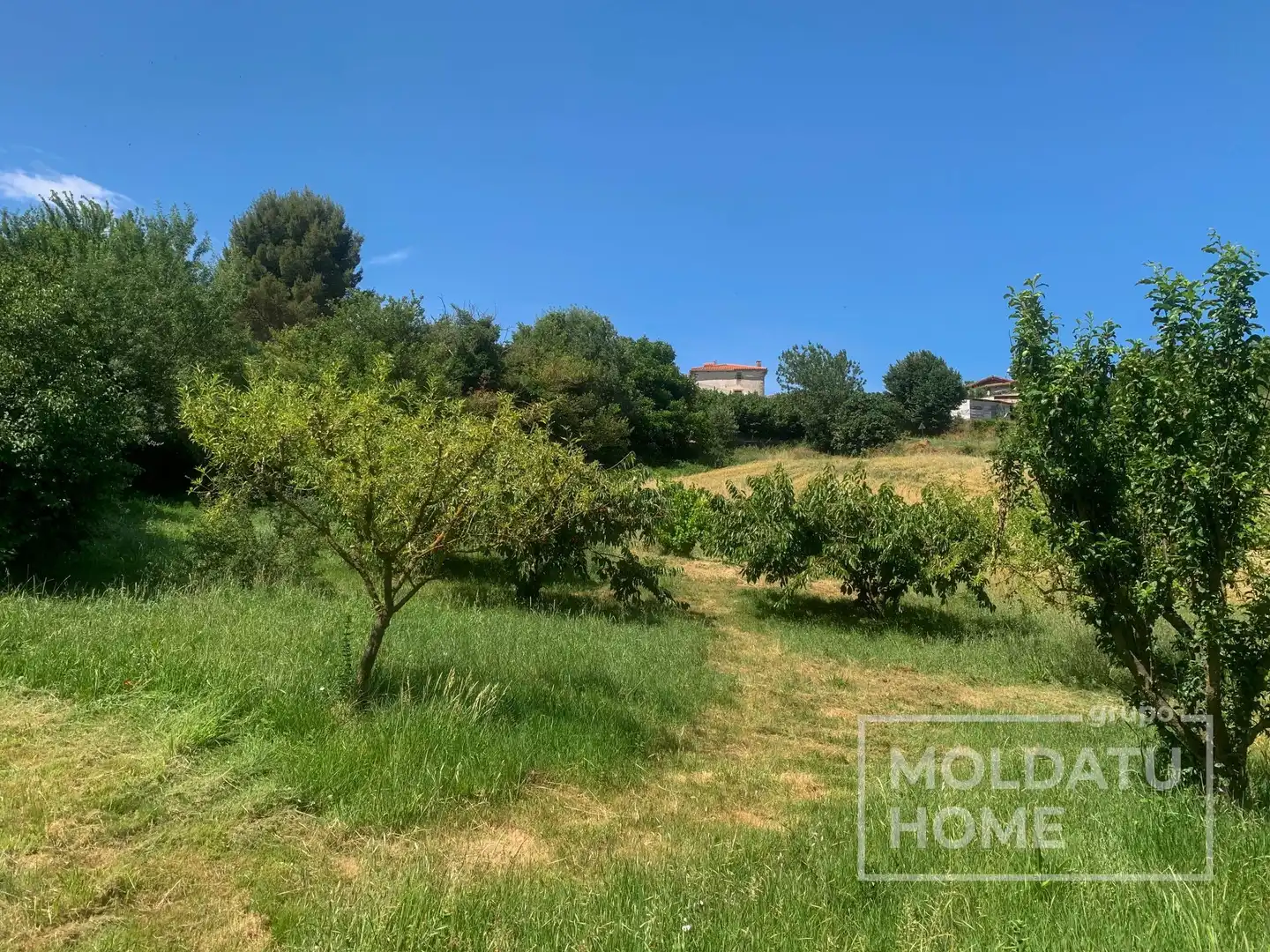 Terreno en venta en Belascoáin