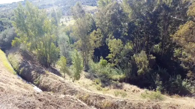 Terreni e lotti in vendita a Avenida de San Roque, imagen 20