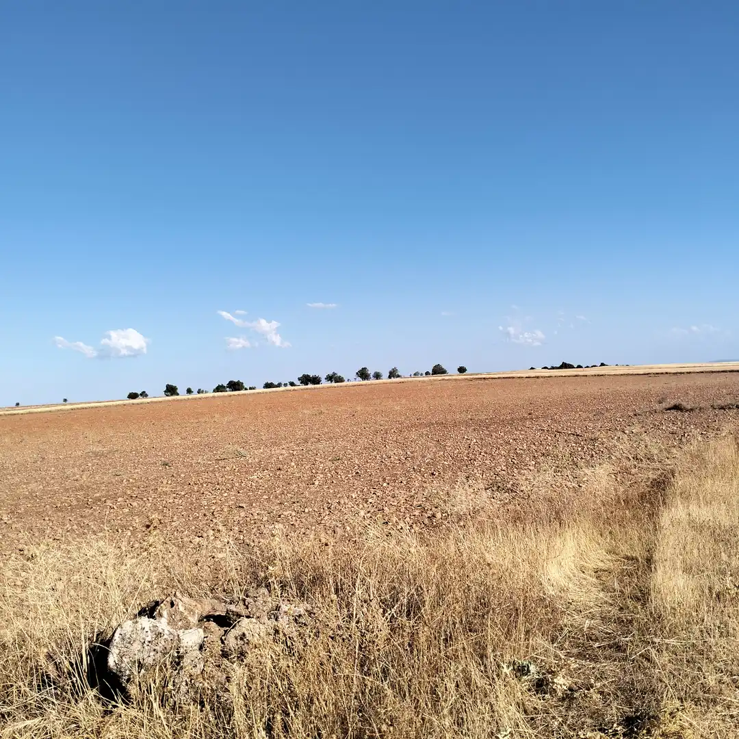 Rural land for sale in CM-3152 5, imagen 6
