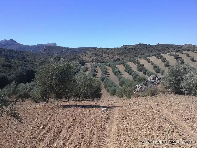 Lands and plots for sale in Bobadilla - Bobadilla Estación - La Joya, imagen 10