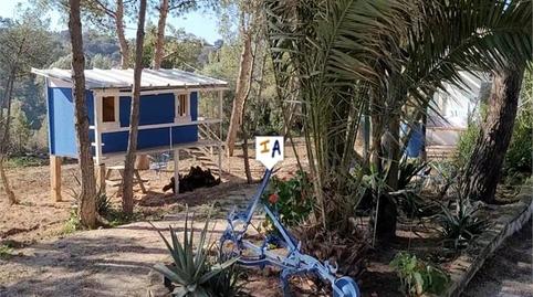 Foto 5 de Finca rústica en venta en Osuna, Sevilla