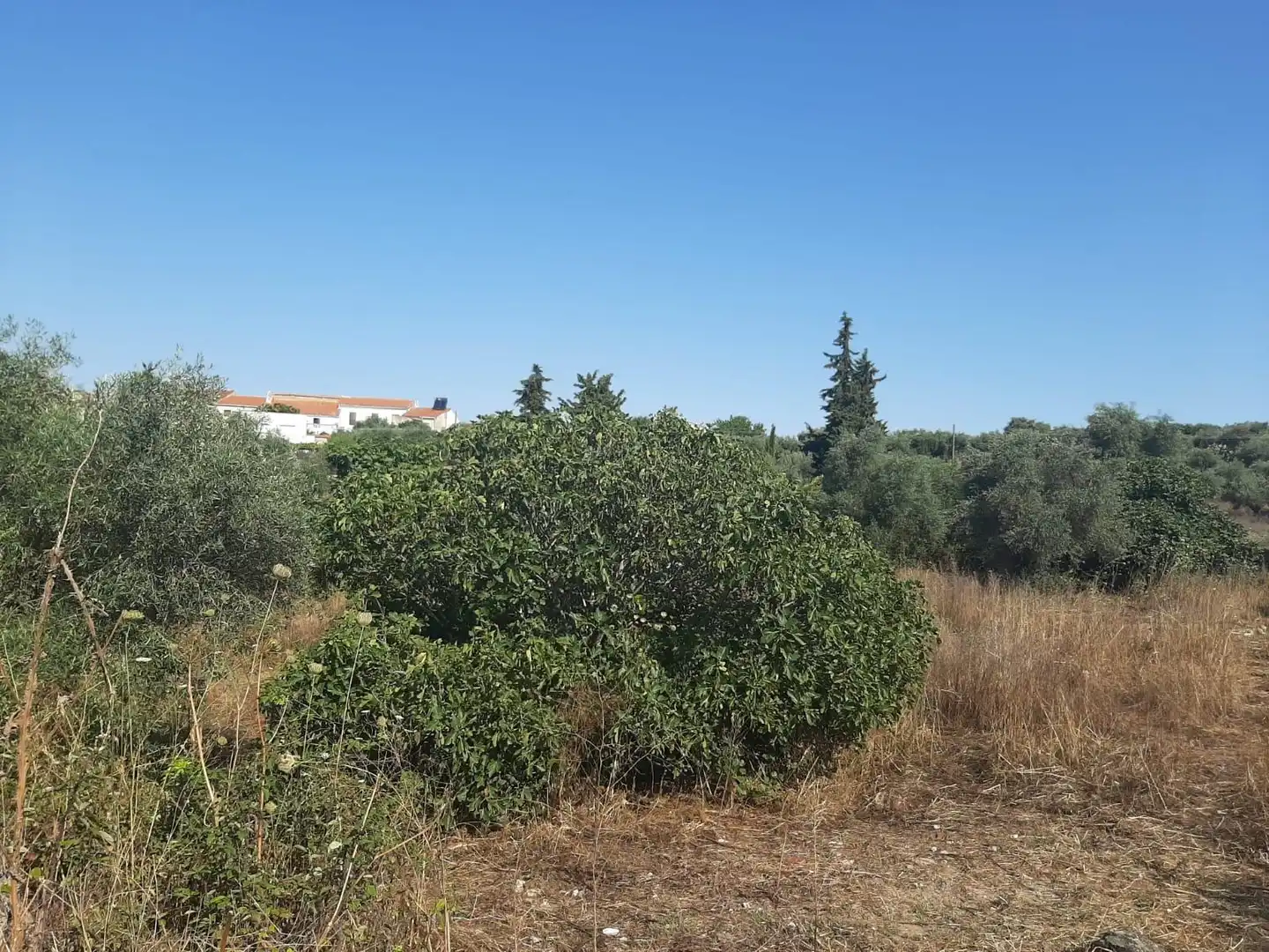 Terreni e lotti in vendita a Casas de Don Antonio, imagen 7