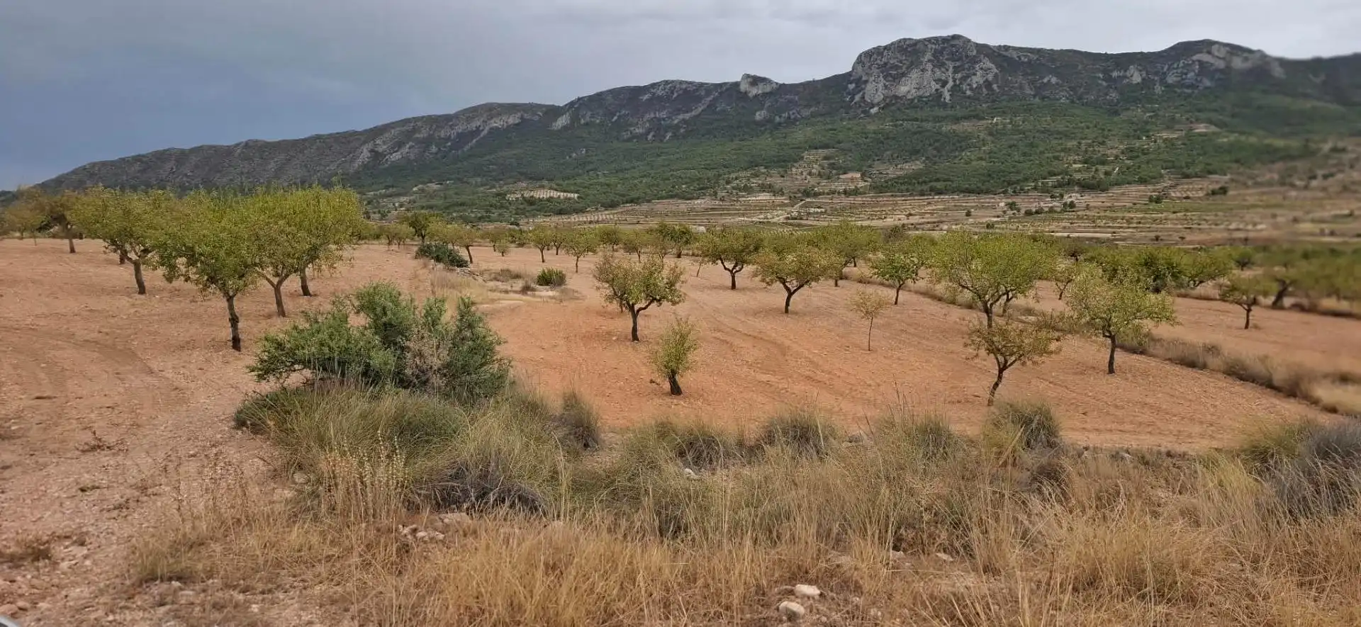 Terrain rustique à vendre à La Romana, imagen 4