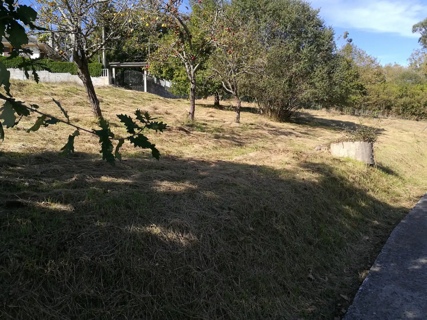 Rustikales Grundstück zum Verkauf in Parroquias Sur - La Manjoya, imagen 5
