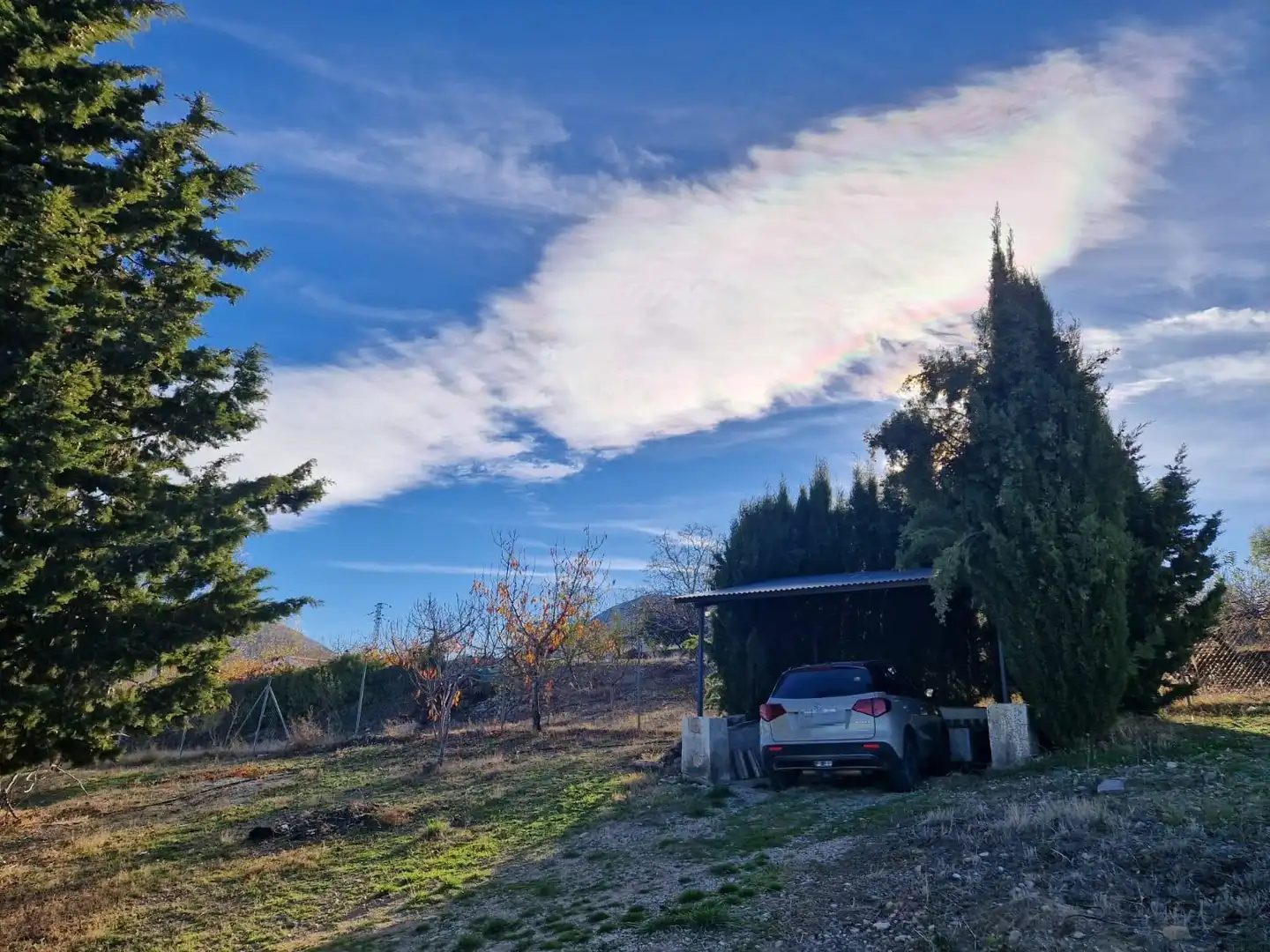 Vista exterior de Finca rústica en venta en Torres con Jardín privado