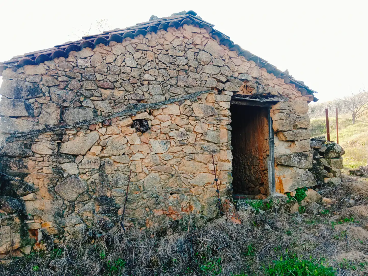 Vista exterior de Terreno en venta en El Torno 