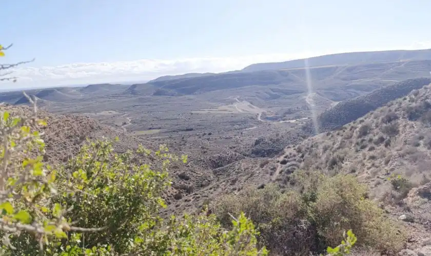 Vista exterior de Casa o chalet en venta en Níjar con Amueblado