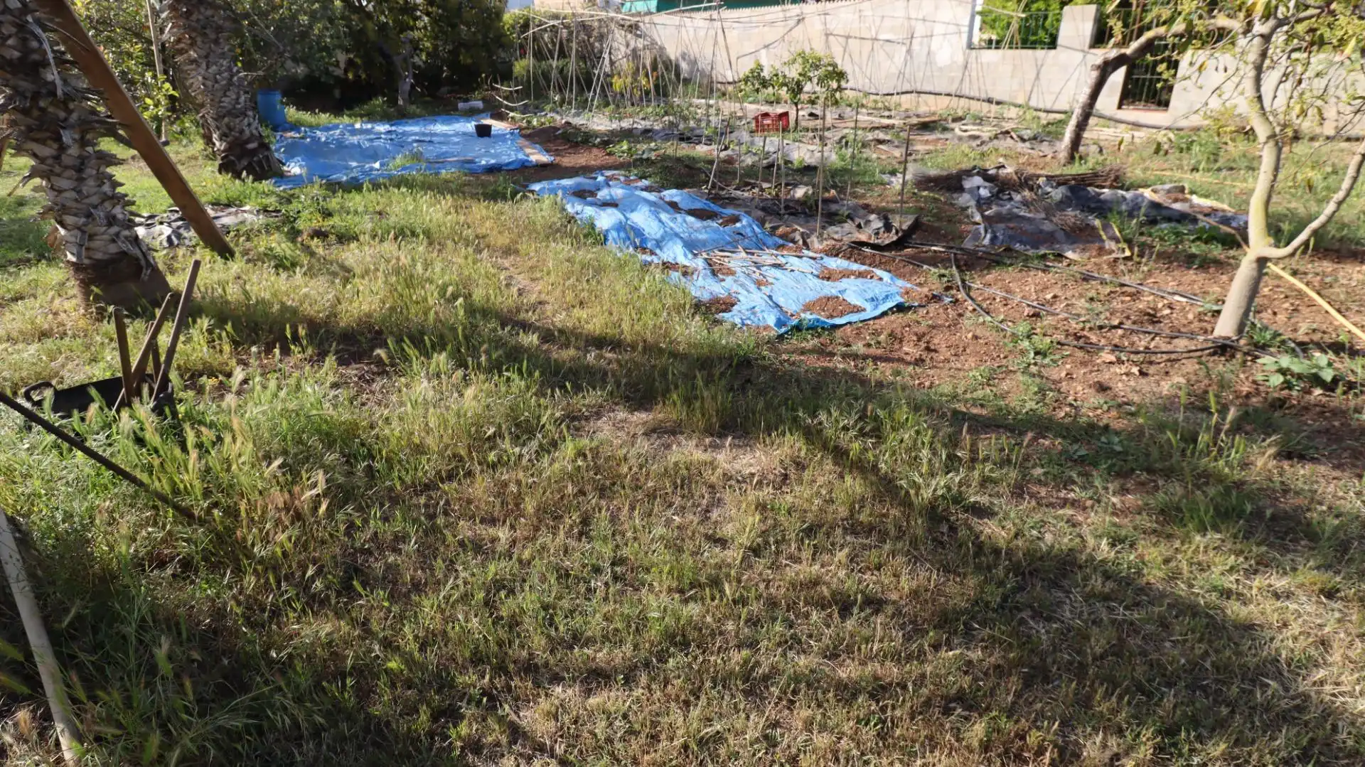 Finca rústica en venda en Alcanar amb Jardí privat i Piscina comunitària