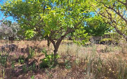 Casa o xalet en venda en Benicarló amb Jardí privat, Traster i Alarma