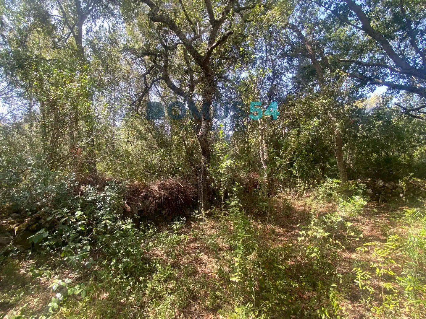 Grundstücke zum Verkauf in Alcúdia