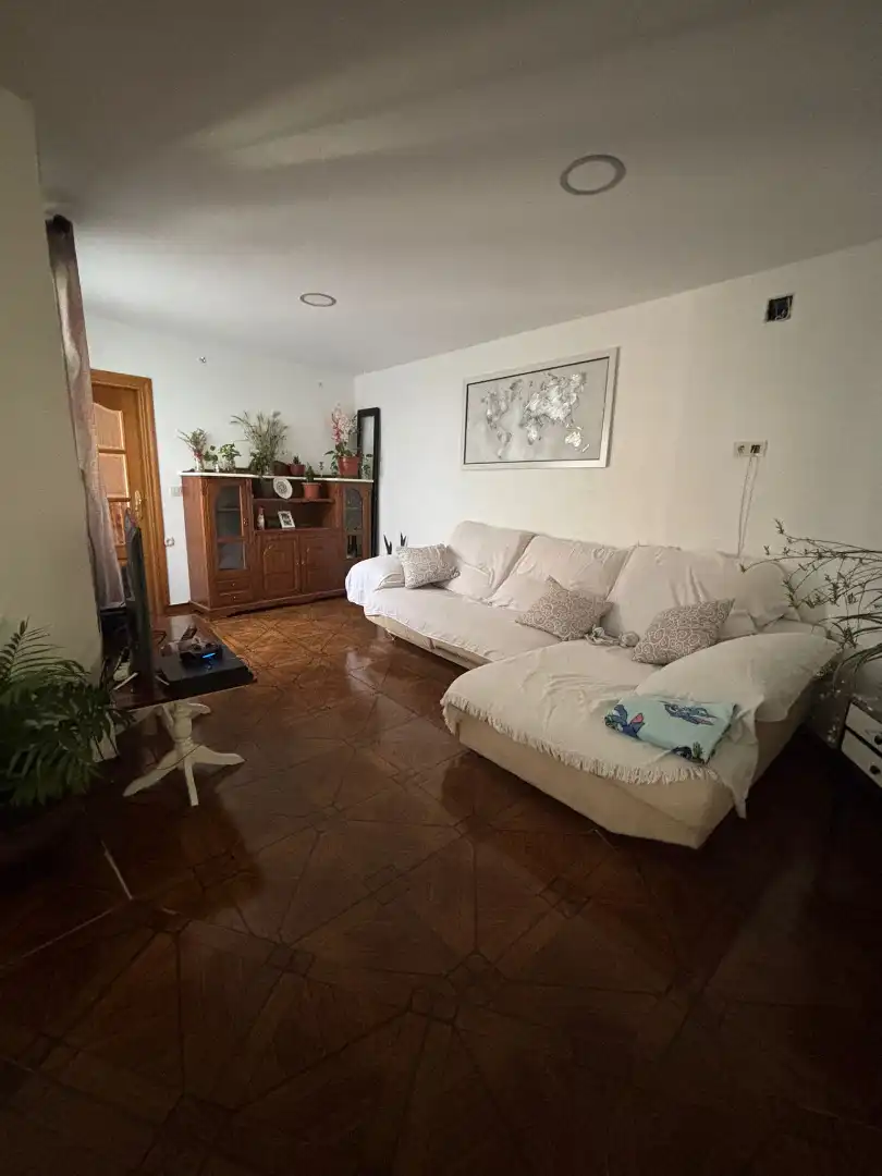 House with garden for sale in Avenida Constitución, imagen 13
