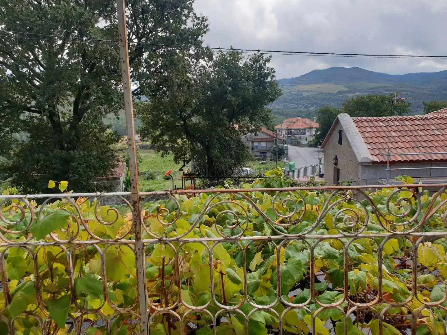 Jardín de Casa o chalet en venta en Campo Lameiro con Jardín privado