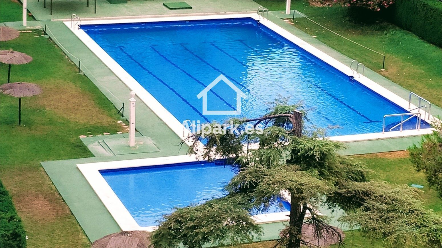 Swimming pool of Flat to rent in Alicante / Alacant  with Air Conditioner, Terrace and Swimming Pool