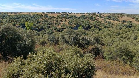 FINCA RÚSTICA CON ALTO VALOR CINEGÉTICO Y PAISAJÍSTICO, immagine 2
