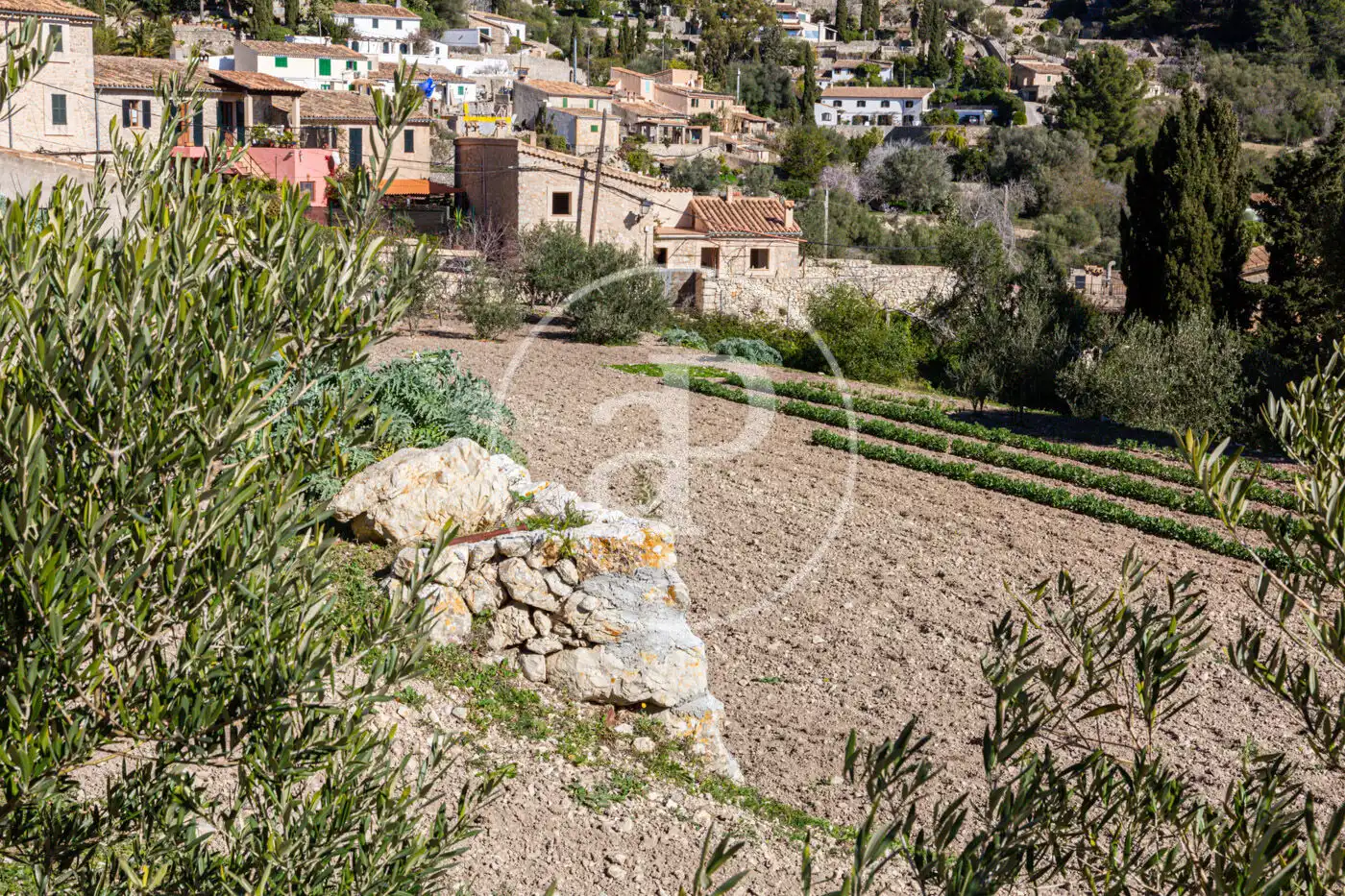 Exterior view of Residential for sale in Puigpunyent