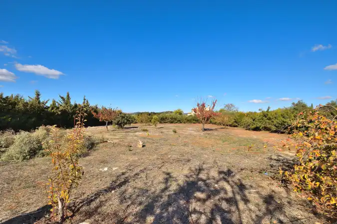 Maison rustique avec piscine à vendre à Partidas Norte, imagen 60