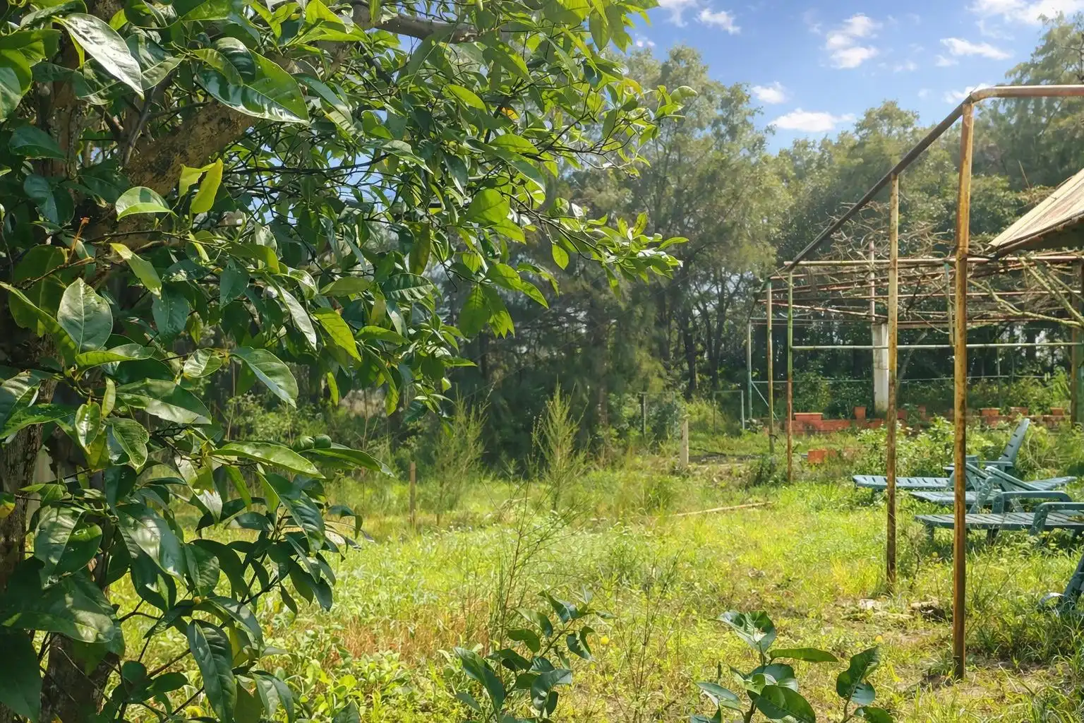 Country homes for sale in Chiclana de la Frontera