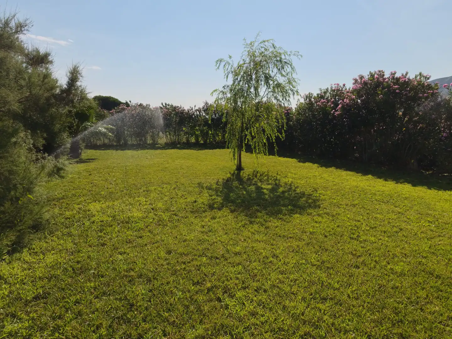 Maison avec piscine à vendre à Arroyo de San Serván, imagen 3