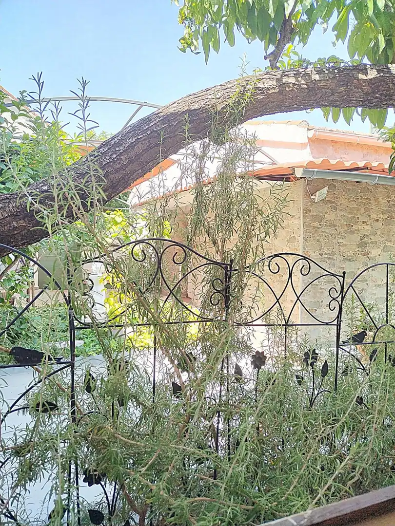 Jardín de Casa o chalet en venta en Arganda del Rey con Aire acondicionado, Calefacción y Jardín privado