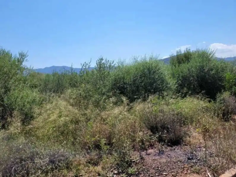 Rural land for sale in Partida Bobalar Pilares, imagen 8