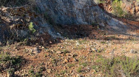 GRAN TERRENO VISTAS, immagine 5