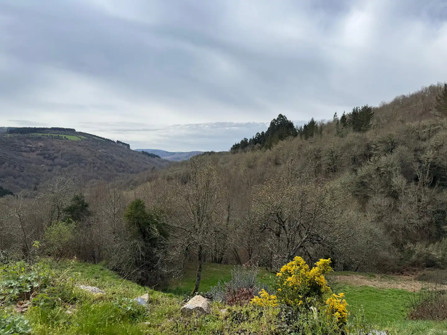 Finca rústica en venta en Becerreá con Jardín privado y Amueblado