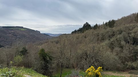 Foto 2 de Finca rústica en venda a Becerreá, Lugo