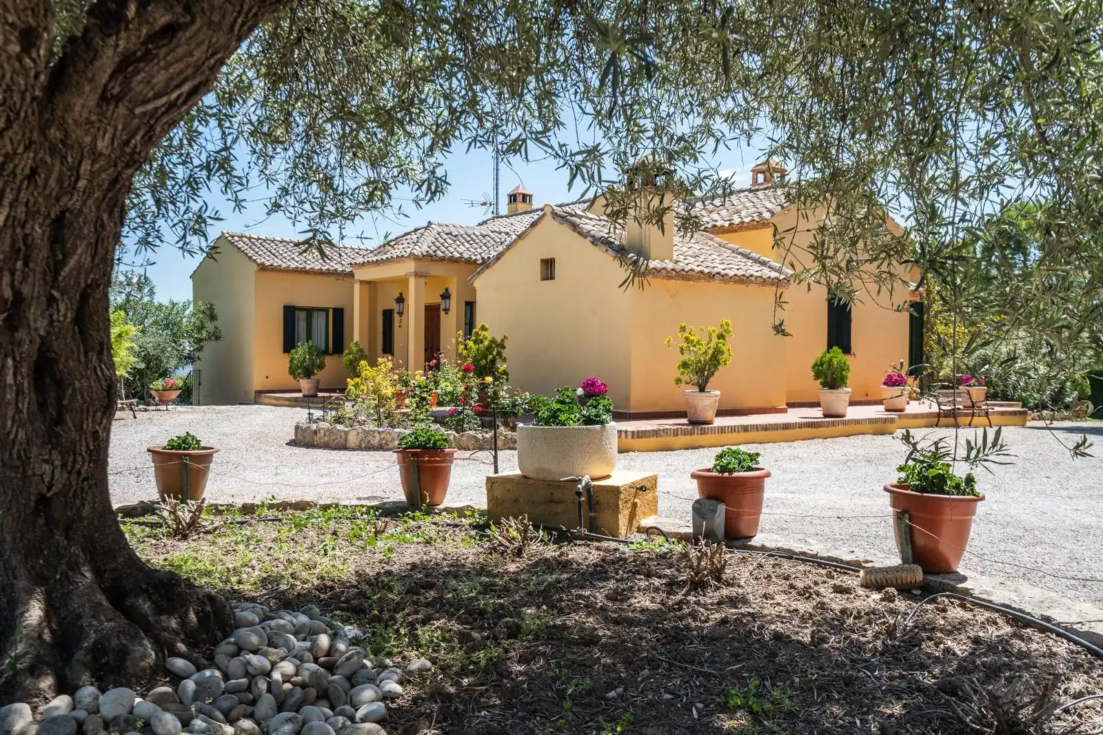 Vista exterior de Finca rústica en venta en Chinchón con Aire acondicionado, Calefacción y Jardín privado